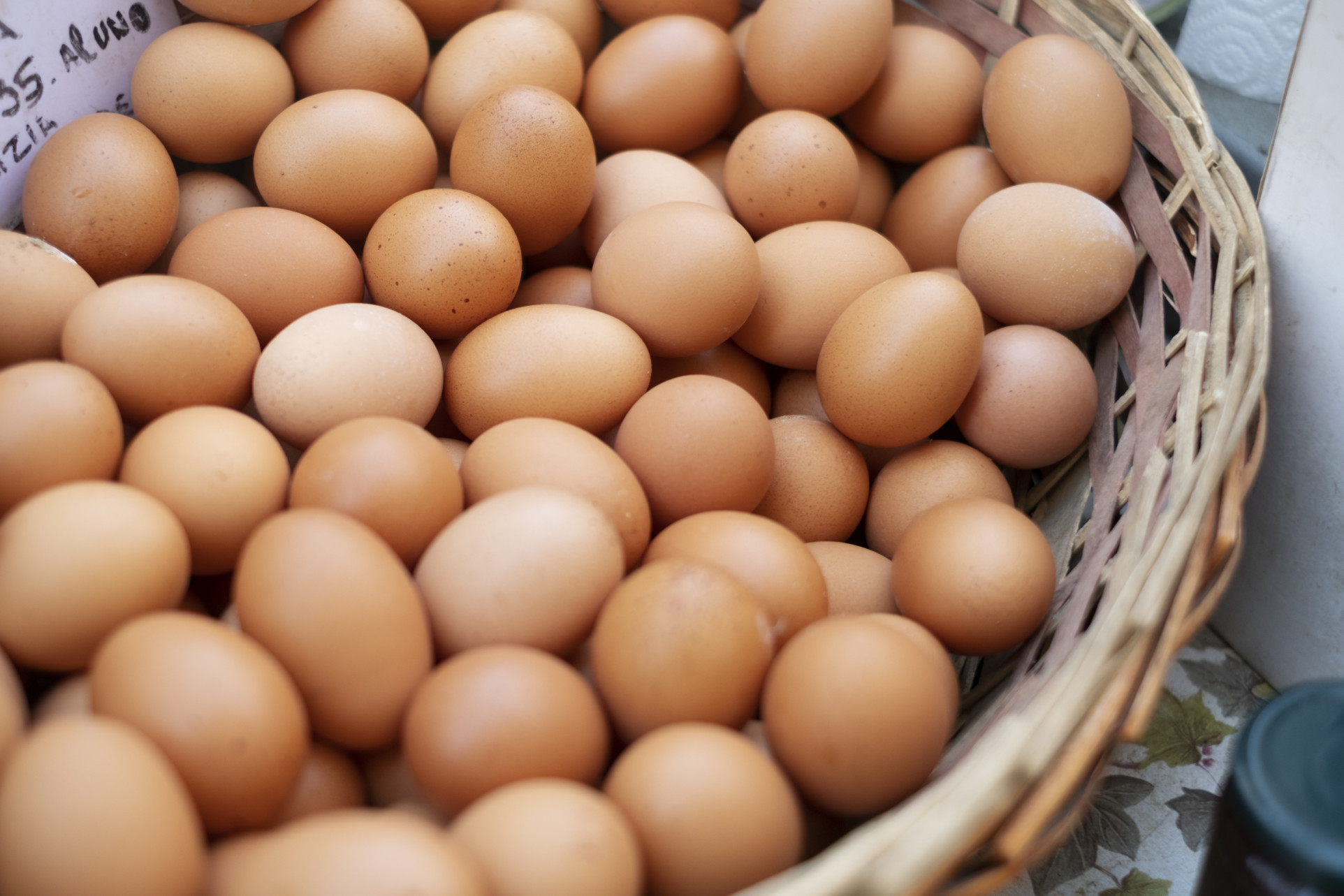 Bisnis Telur Skala Rumahan