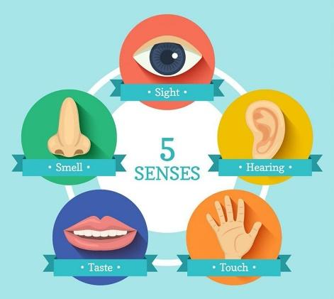 Sensory Marketing : Definisi, Jenis, Manfaat, dan Cara Kerjanya