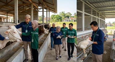 Syarat Tim Manajemen Halal RPH Ruminansia dan Unggas yang Wajib Dipenuhi Pelaku Usaha UMKM