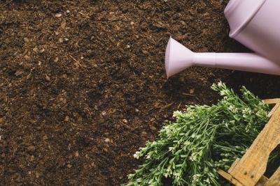Macam-Macam Pupuk: Jenis, Fungsi, dan Pilihan untuk Petani