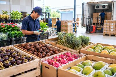 Ekspor Hortikultura Melonjak Tapi Terkonsolidasi: Ini Peluang Nyata yang Belum Digarap UMKM